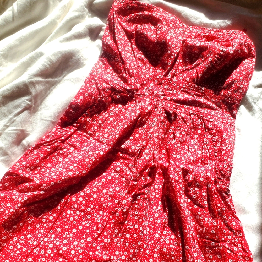 White Flowerd Red Strappless Dress